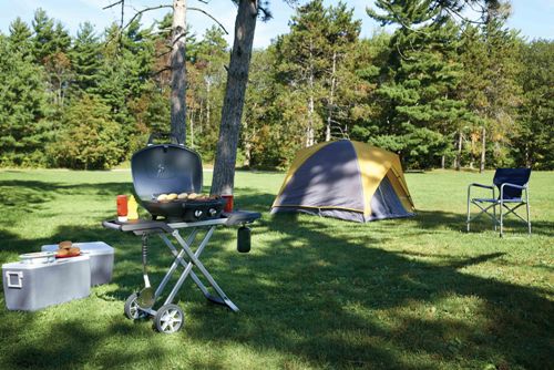 Foto: Napoleon barbecue TQ285X verrijdbaar op camping