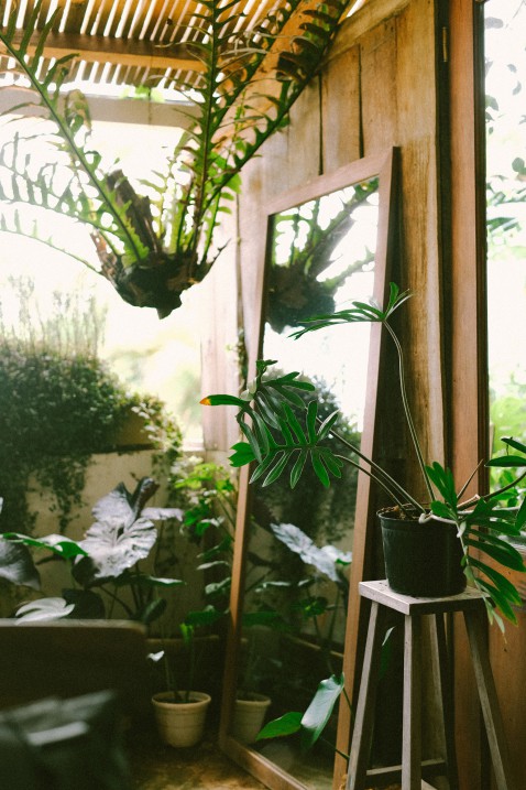 Foto : Hoe kun je een mooie binnentuin creëren?