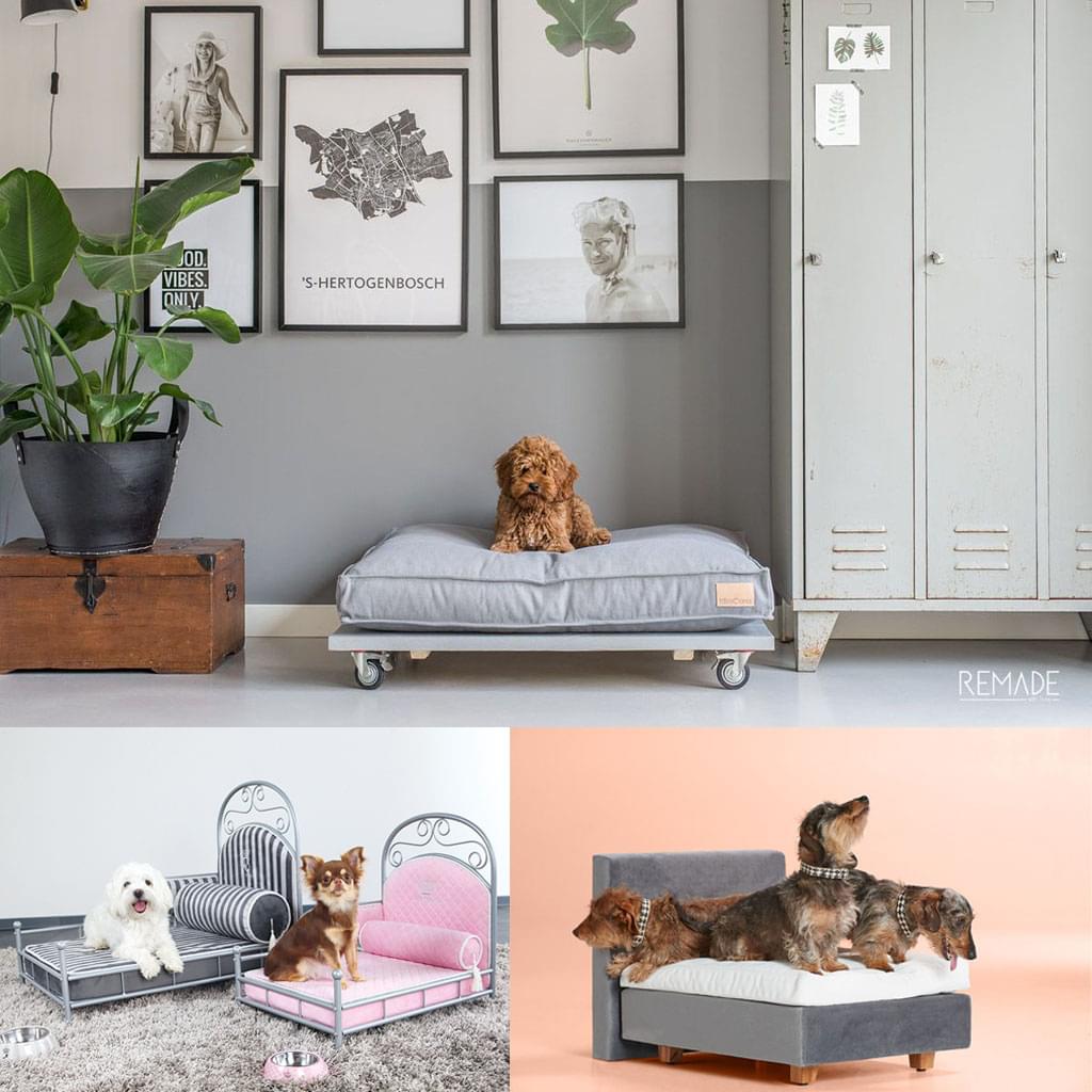 Foto: 000-hond-honden-bed-mand-bank-kussen-interieur-luxe-boxspring