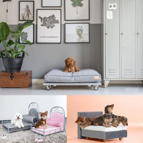 Foto : Op zoek naar een luxe bed, mand of kussen voor je hond? Dit zijn de 10 mooiste!