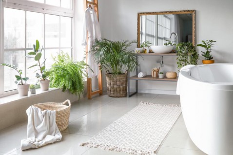 Foto : De mooiste kamerplanten voor in de badkamer
