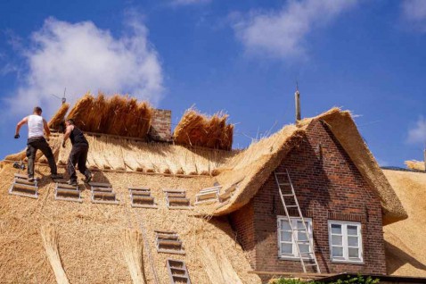 Foto : Huis met een rieten dak? Hier moet je aan denken