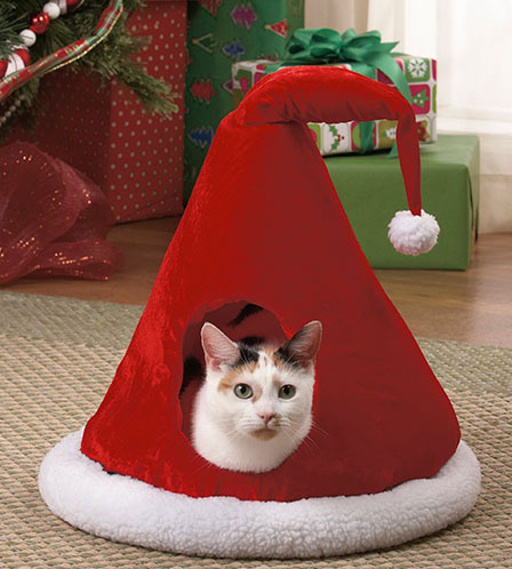 The Aim Store: kattenkussen kerst.