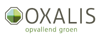 Oxalis Plant & Tuin