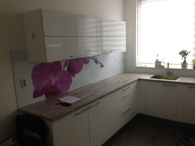 Foto: p43 Orchidee wit RAL9003