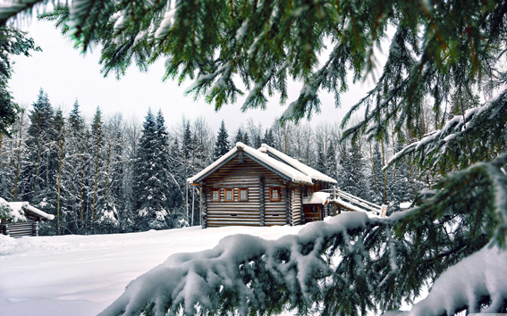 Foto: 750 62135908 cottage in bos kerstdoek max180x ook voor tuinposter
