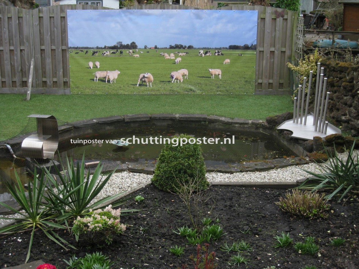 Foto: w3 tuinposter schuttingposternl hollands landschap weiland koeien schapen