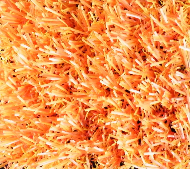 Foto: ferrary oranje