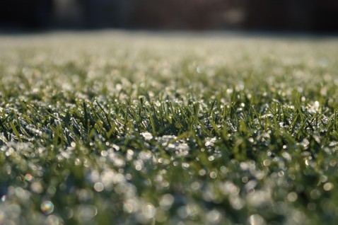Foto : Kunstgras in de winter: wat je kunt verwachten