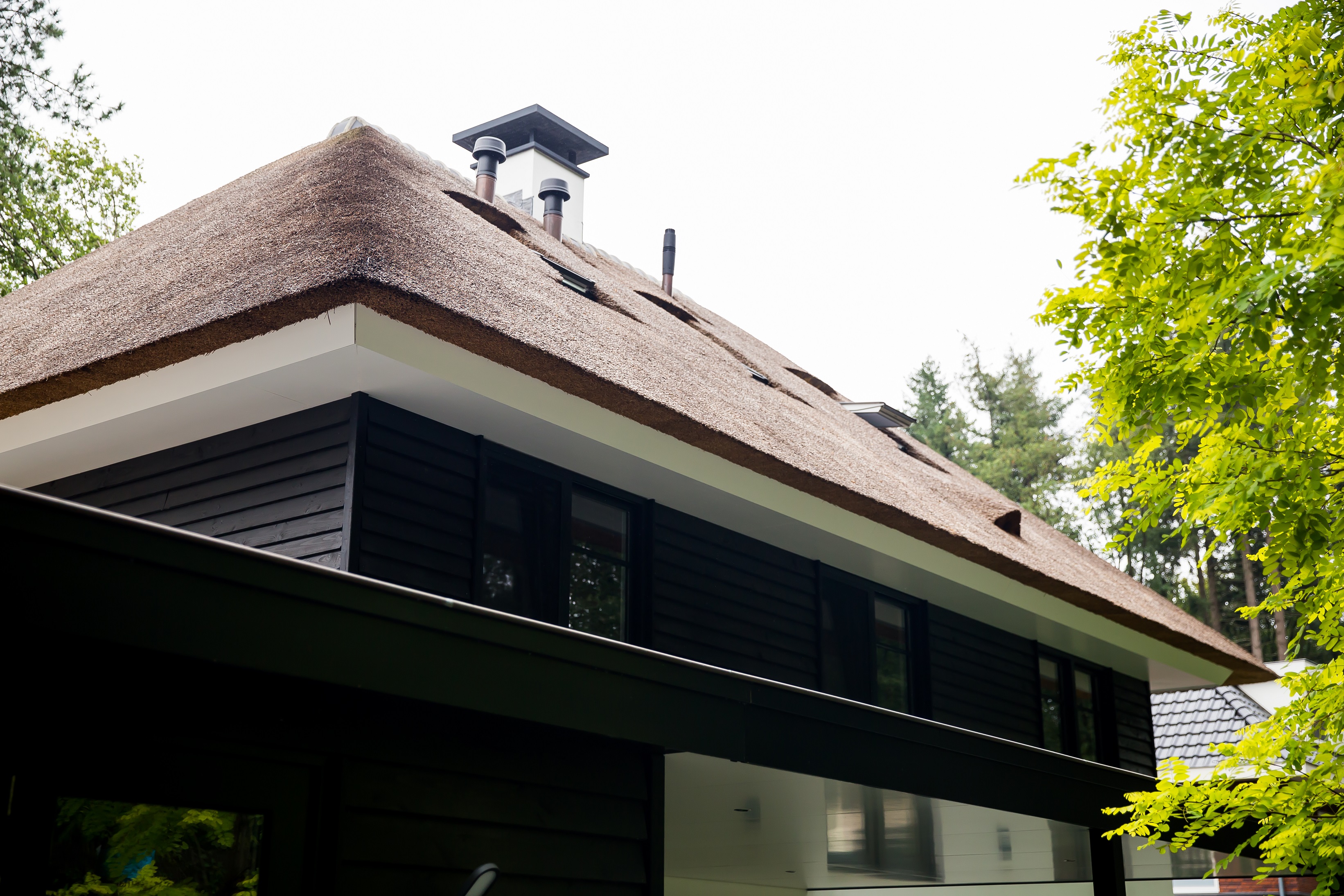 Foto: Huis bouwen   Rietgedekte villa Nachtpauwoog te Apeldoorn   Architectuurwonen  4 