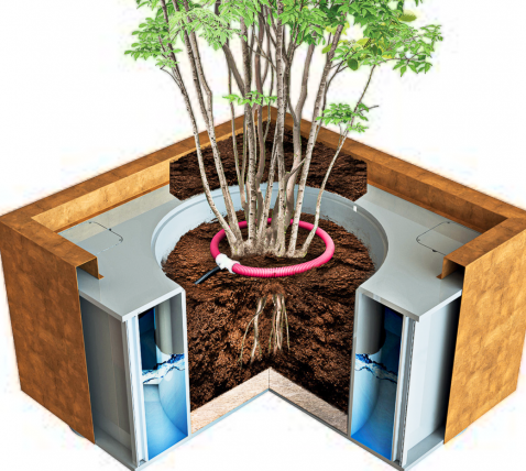 Foto : ACO ClimateBoxx: De Slimme Boombak voor Stedelijk Waterbeheer