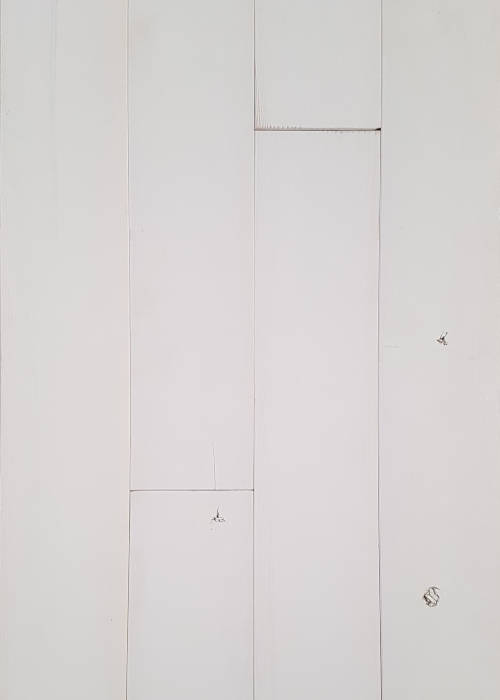 Foto: Dekkend wit grenen vloer