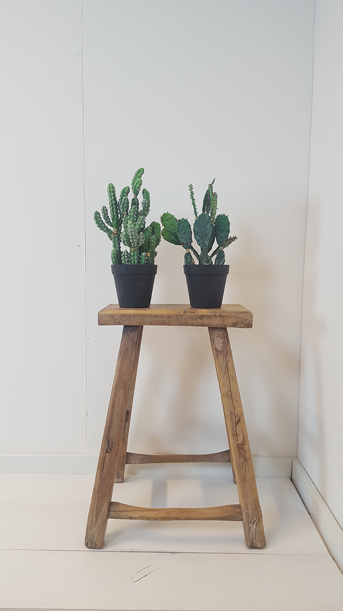 Foto: Dekkend witte houten vloer 1