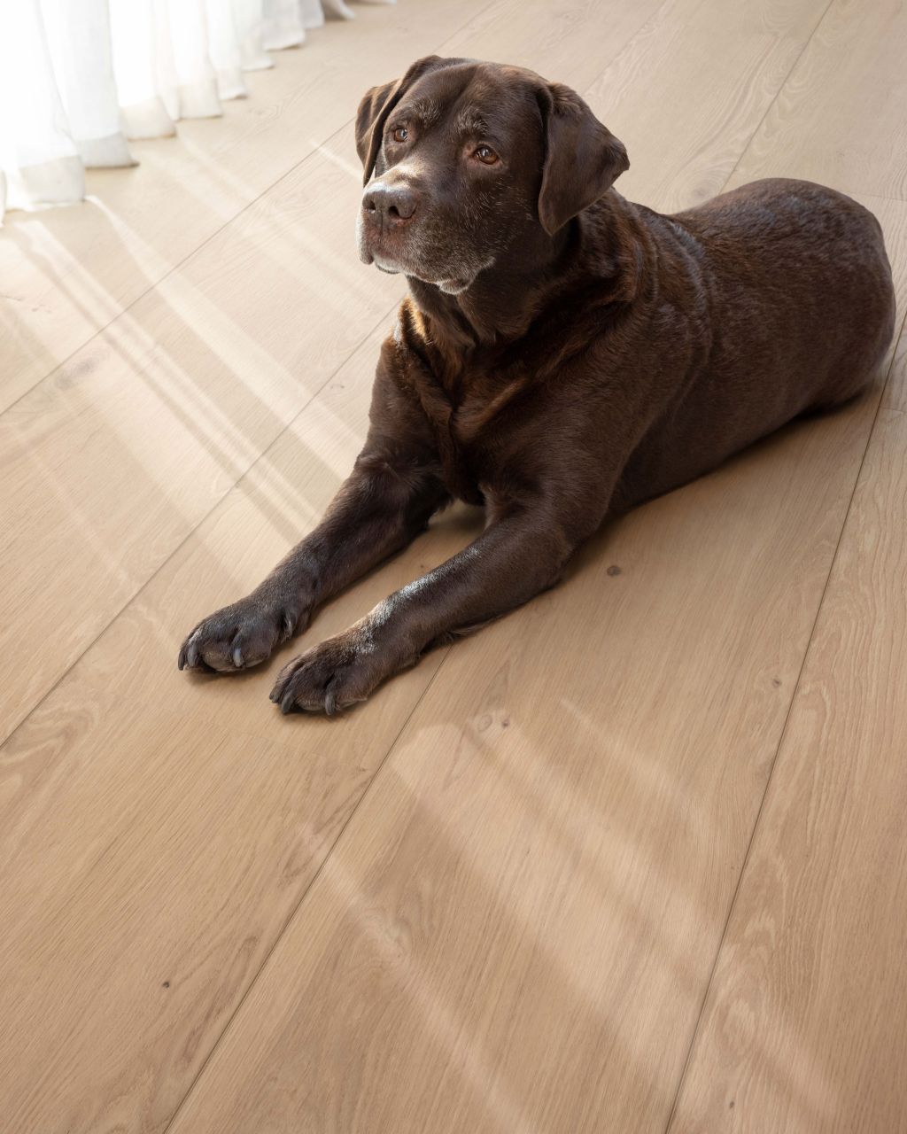 Foto: Wonennl COREtec 10 6 Kylemore  50 LVREXL 4355  detail XL END