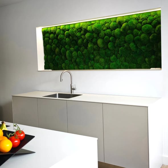 Foto: 559433270 1503393647982289 8077097194981645495 n