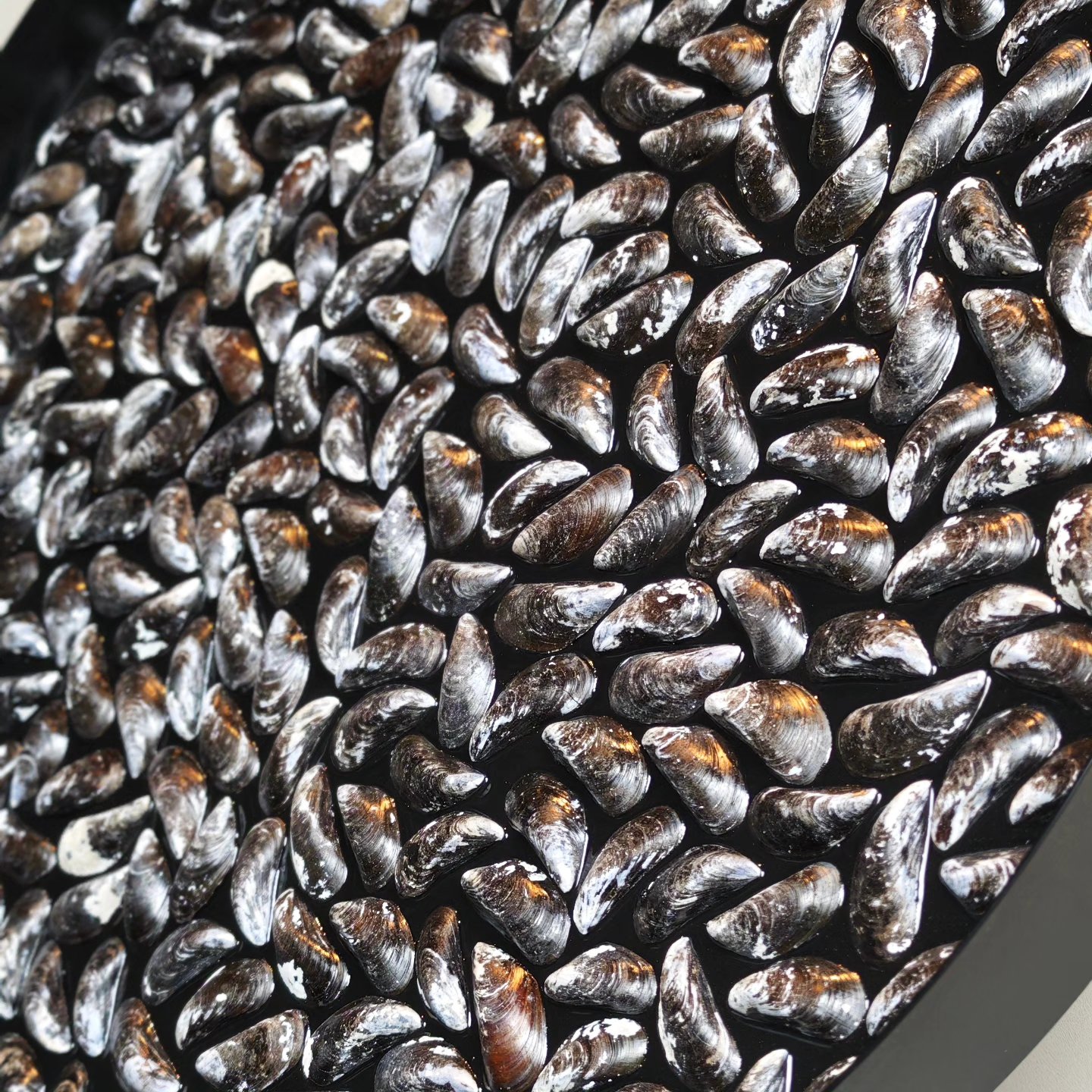 Foto: 568527605 1494074298914224 3738544560231265102 n