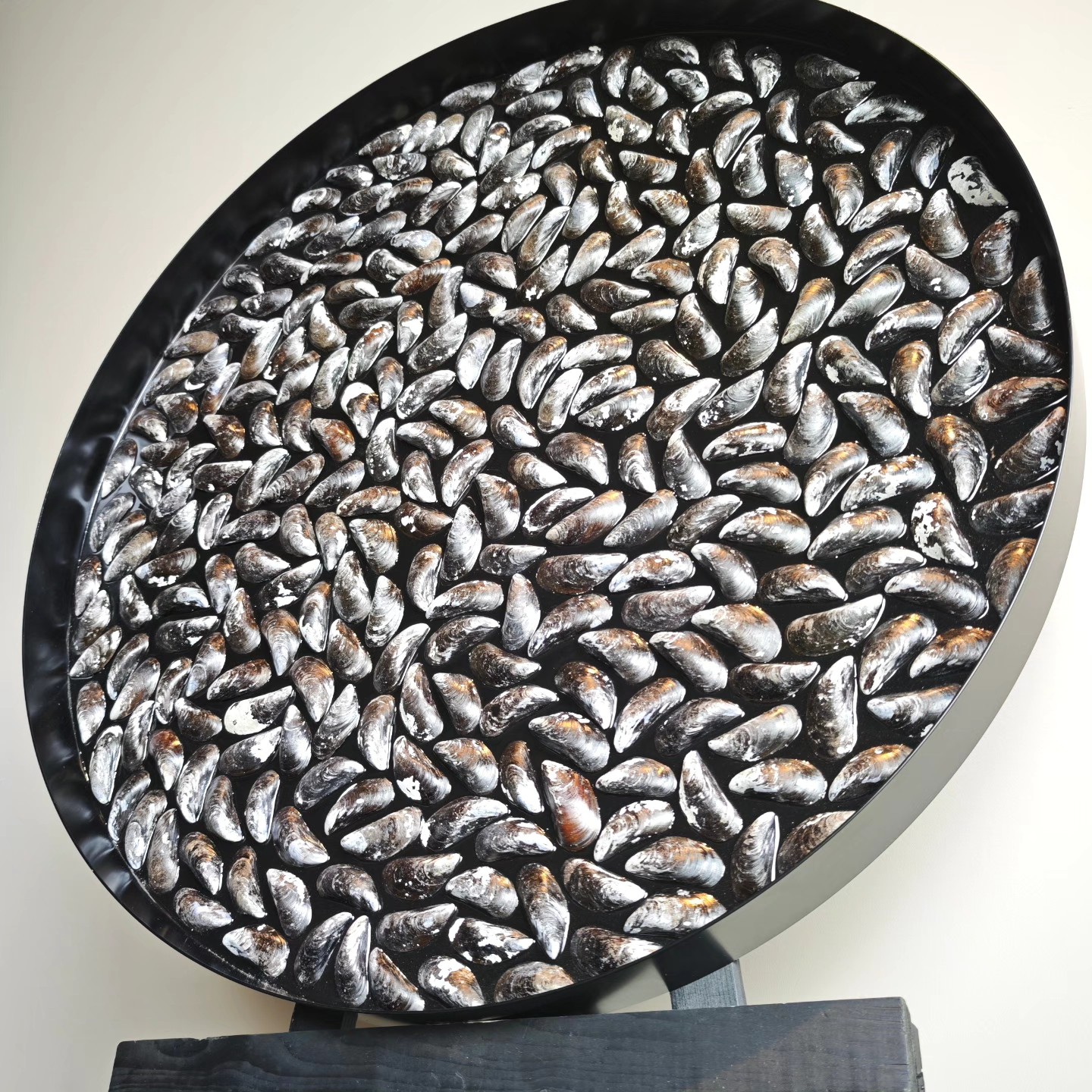 Foto: 571182197 1494074302247557 588007725682952667 n  1 