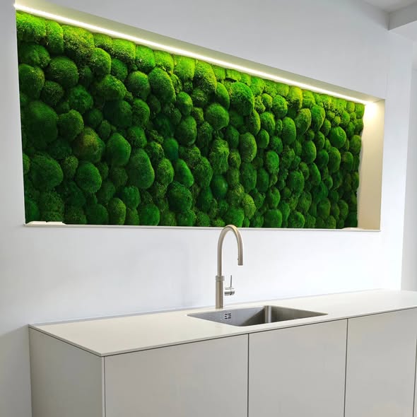 Foto : Bolmos: Onze Meest Luxe en Levendige Groene Blikvanger