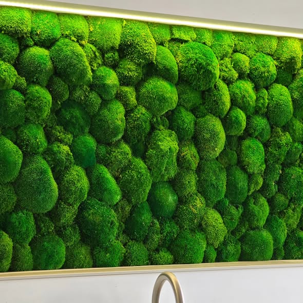 Foto: 574624253 1503393651315622 3448149981809852027 n