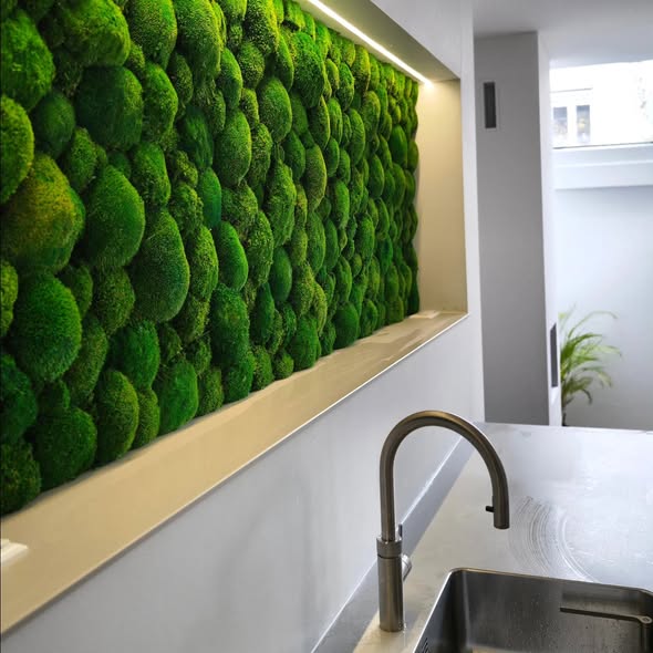 Foto: 575197962 1503393644648956 5654282162673018428 n