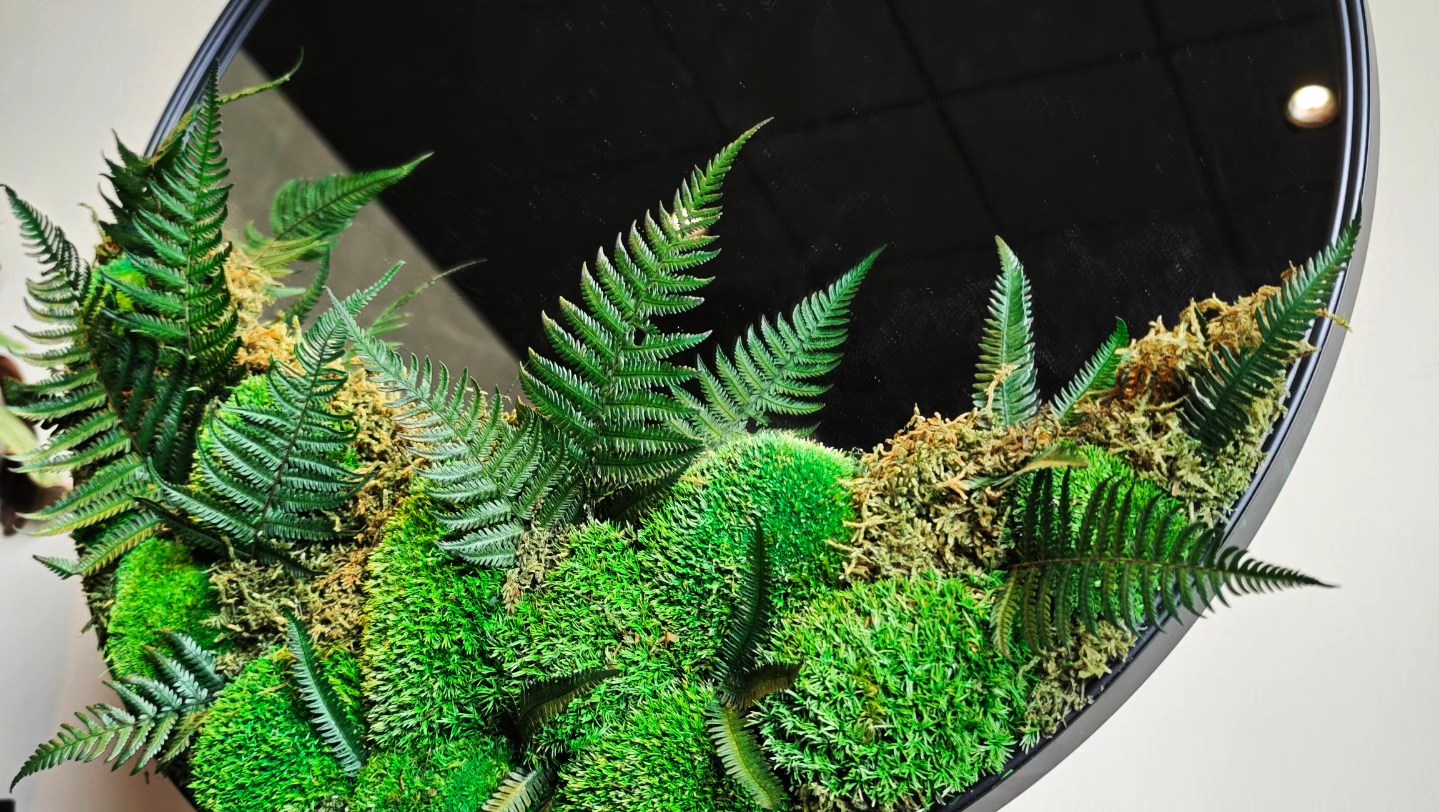 Foto: 580095294 1514048056916848 7392493569083773638 n