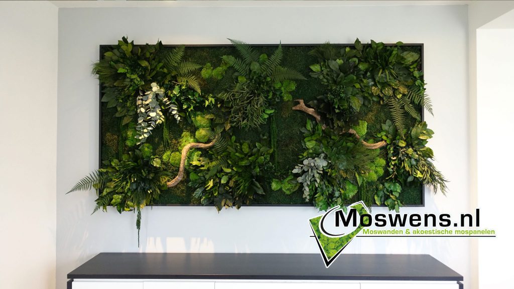 Foto : Onderhoudsvrije plantenwand van Moswens