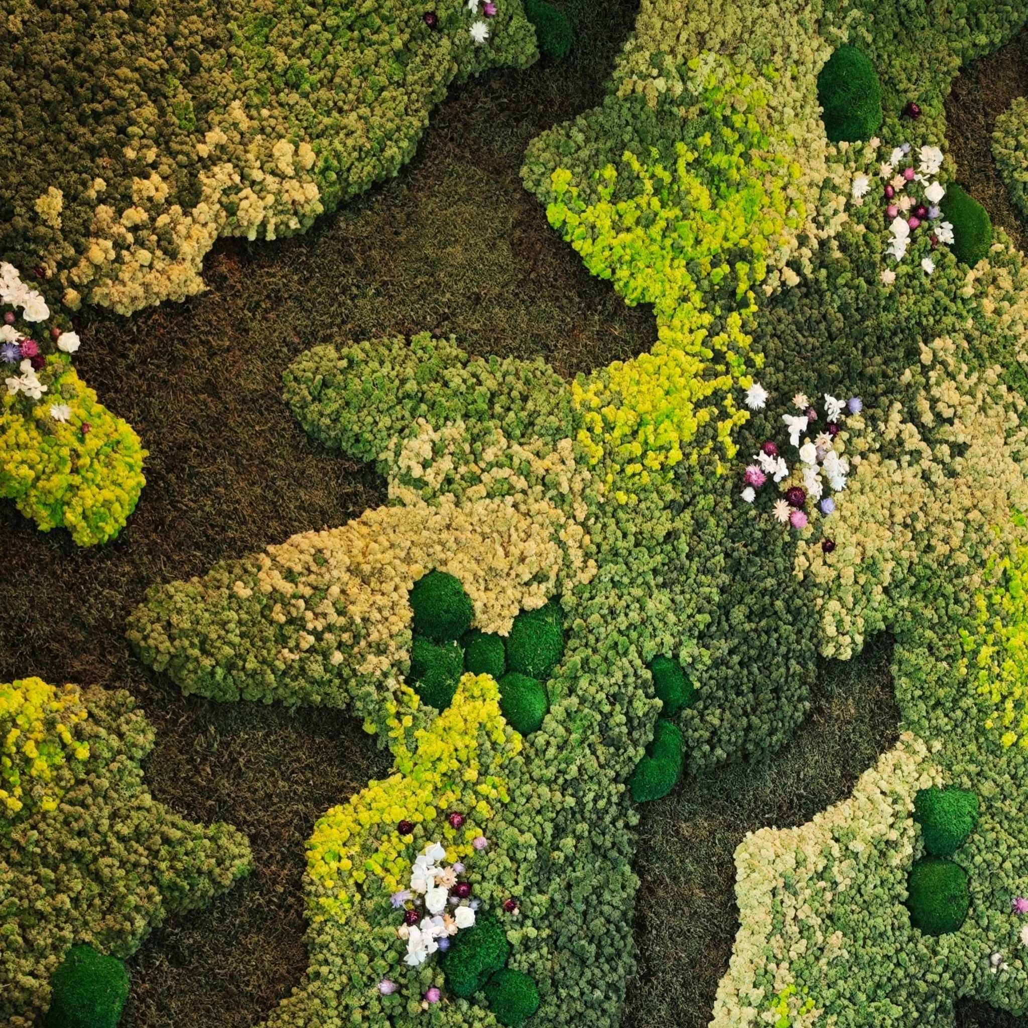 Foto : Moswanden op maat – groen design met een sterk akoestisch effect