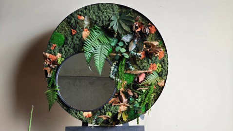 Foto : Ontdek de Mossmirror: Waar Junglevibes en Elegantie Samenkomen