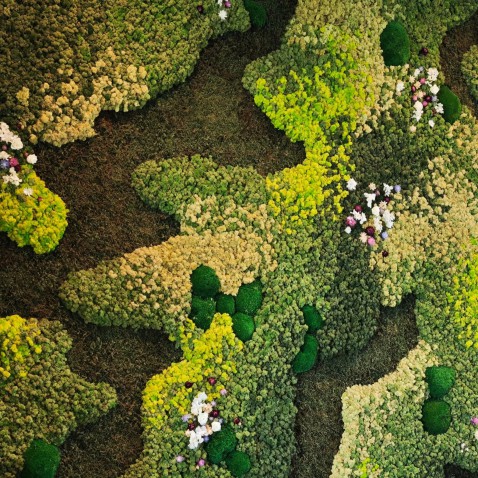 Foto : Moswanden op maat – groen design met een sterk akoestisch effect