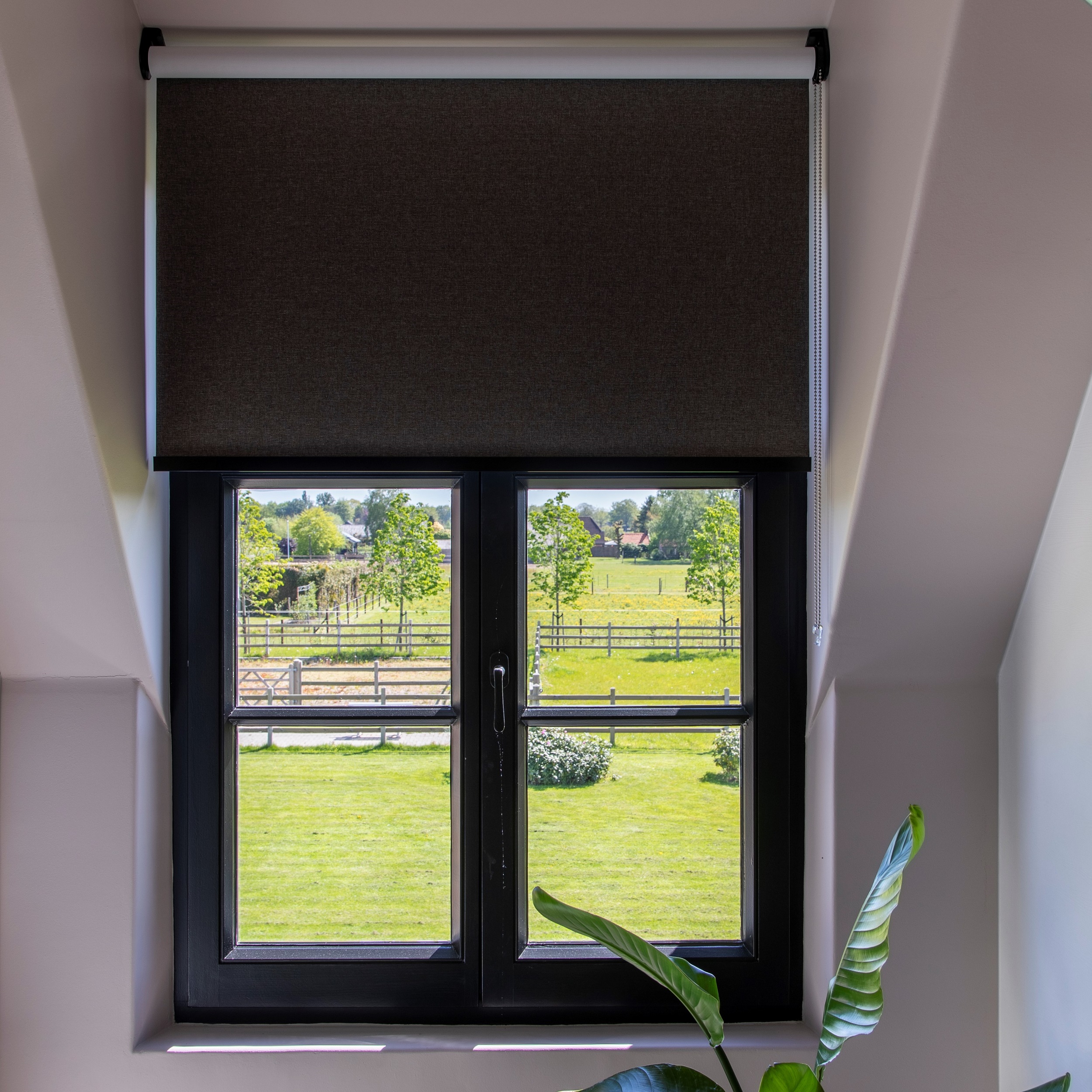 Foto: Rolgordijnen  5 