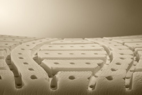 Foto: LR MG 9244 Edit Edit