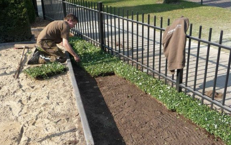 Foto: bodembedekker leggen voortuin