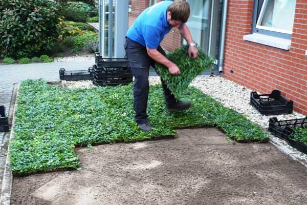 Foto: bodendecker matten leggen