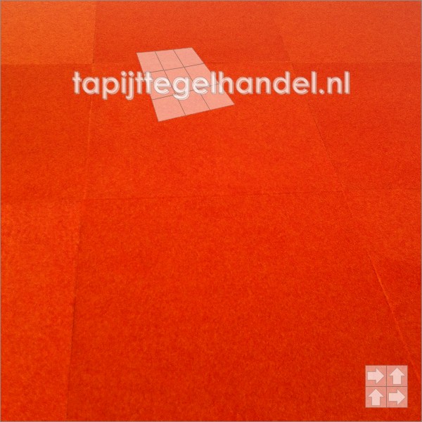 Foto: 1410871809 364