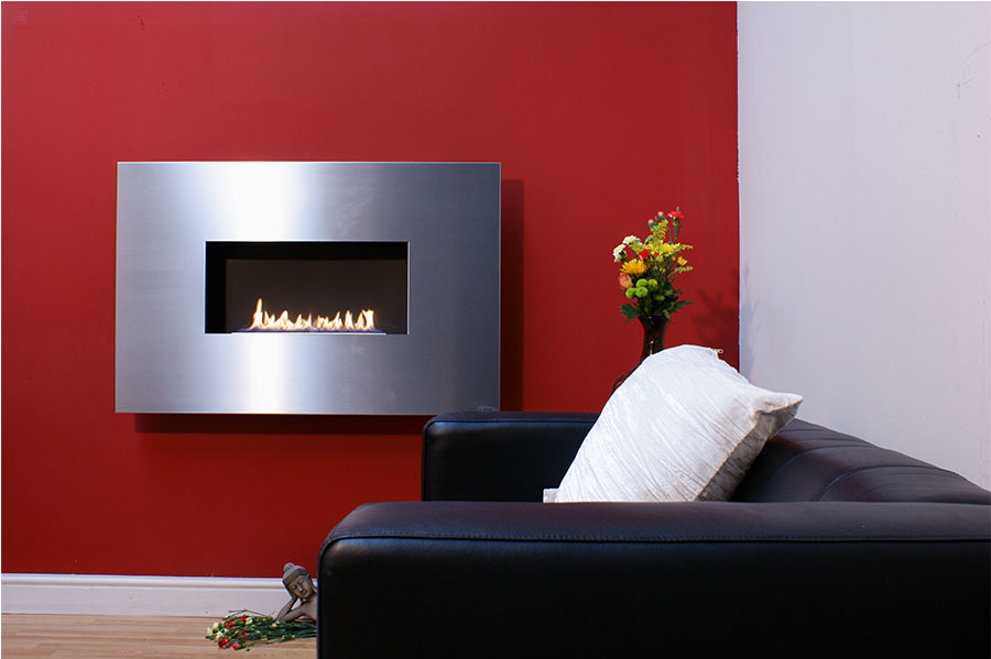 Foto: 0018 angel breed 1