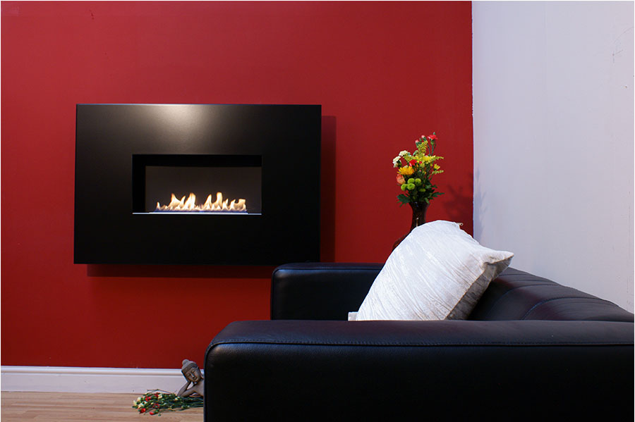 Foto: 0019 angel breed 2