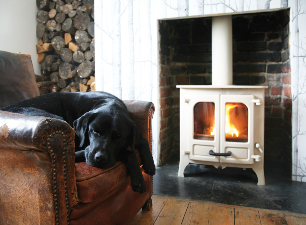 Foto: Charnwood Island I dogchair