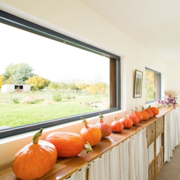 Foto: wonennl belisol 06