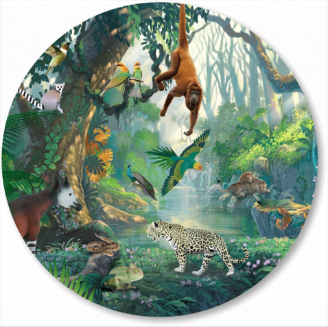 Foto : Wandcirkel Jungle Rainforest