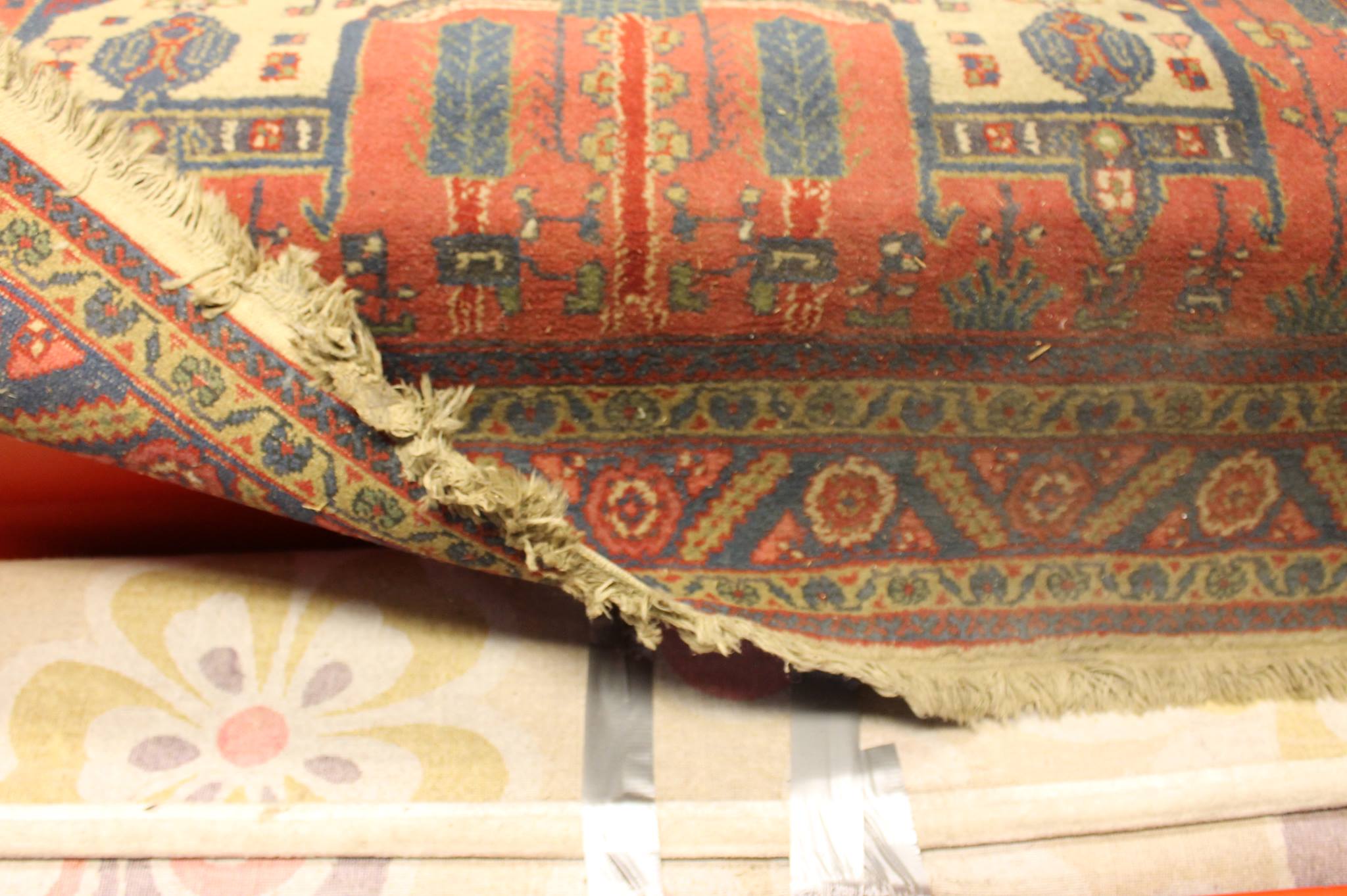 Foto: 53461932 2323894360989648 943312424658796544 o