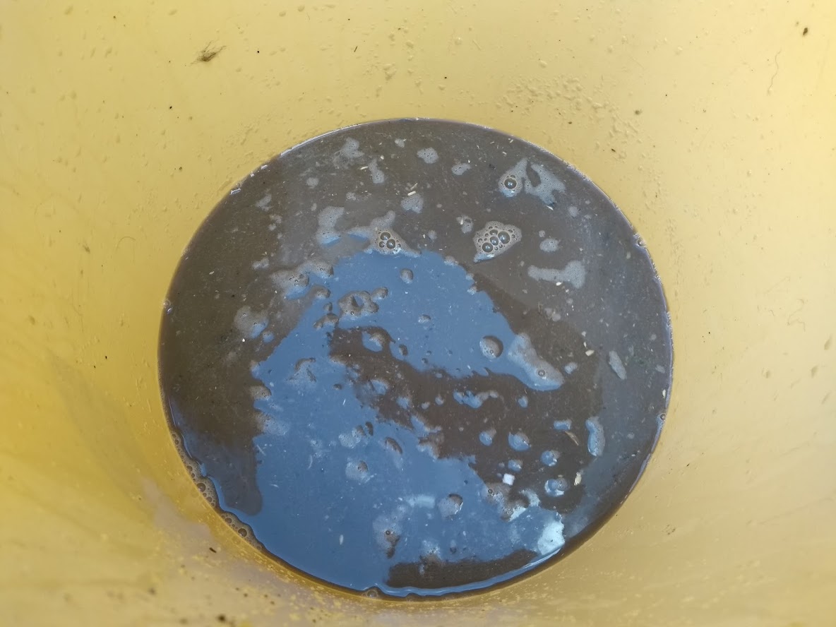 Foto: IMG 20190513 121907201