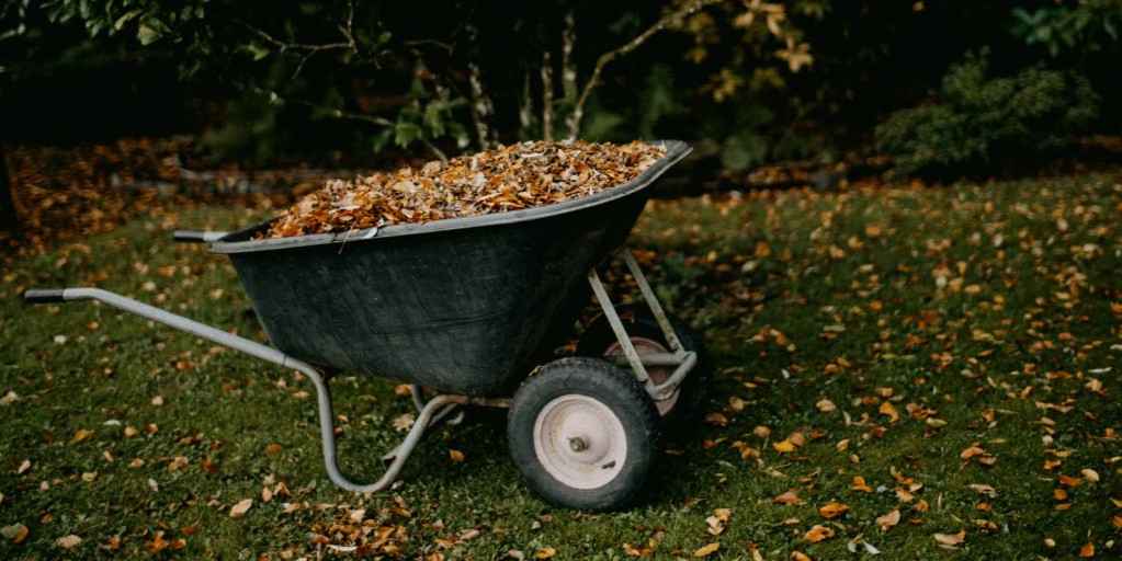 Foto: annie spratt qqZTVn6ZF8E unsplash kopie