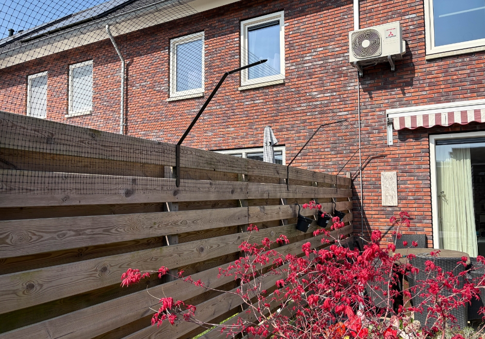 Foto: cathappy kattengaas  2 