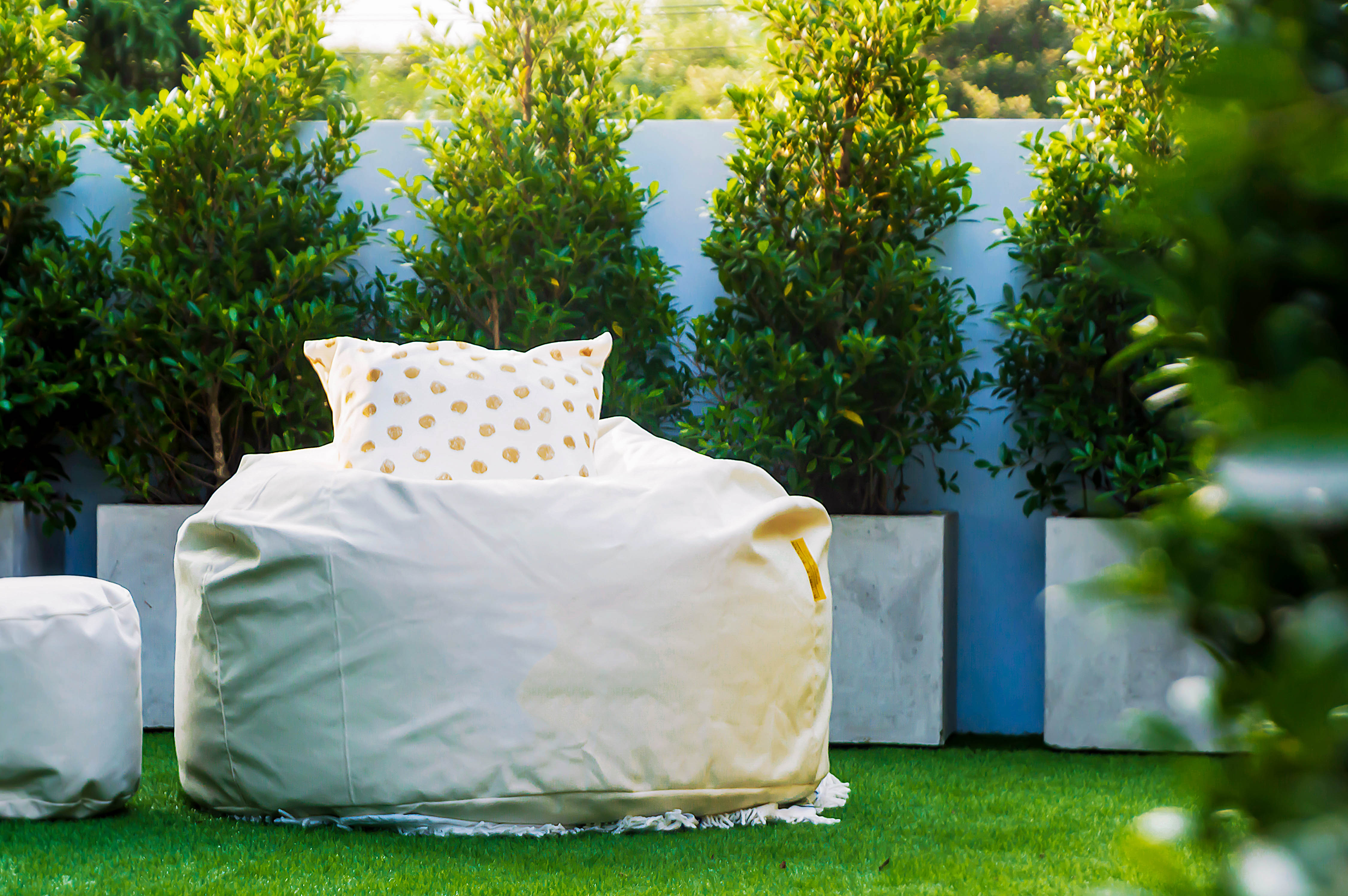 Foto: shutterstock 1270062826