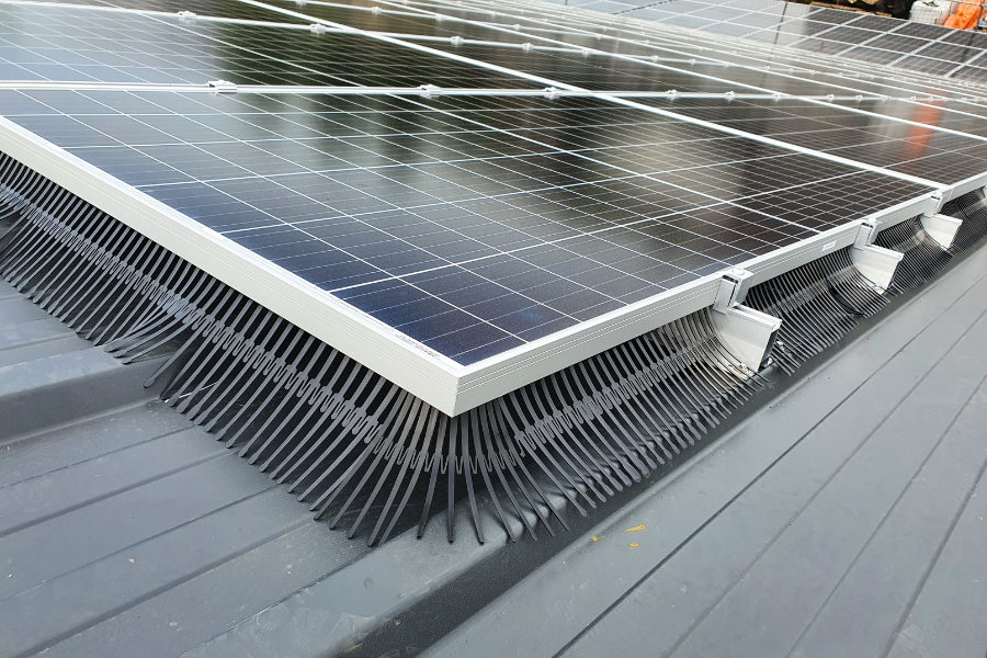 Foto: vogelwering voor zonnepanelen birdstop