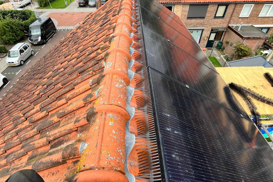 Foto: vogelwering voor zonnepanelen birdstop  4 