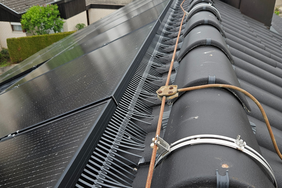 Foto: vogelwering voor zonnepanelen birdstop  5 
