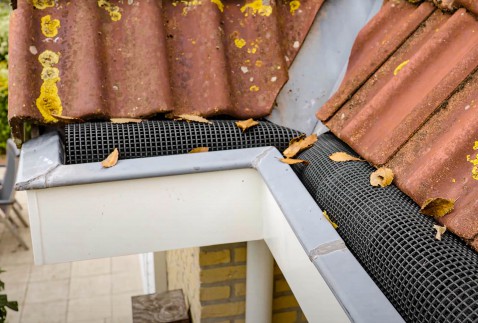 Foto : Aquaduqt: De oplossing voor jouw verstopte dakgoot