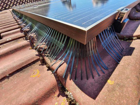 Foto : Vogelwering voor zonnepanelen – 7x waarom dit een goed idee is