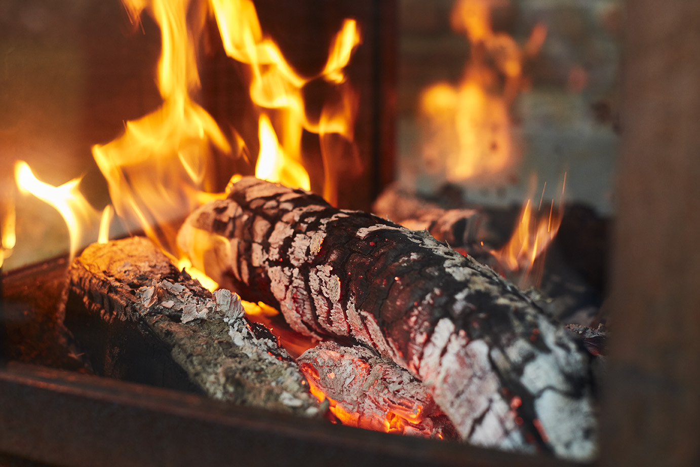 Foto: Quaruba detail 02